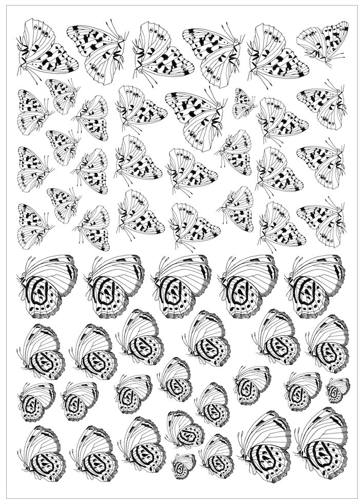 Borboletas naturais preta para porcelana - 6 folhas