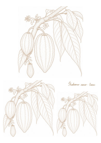 Frutas brasileiras sépia claro para porcelana - 16 folhas
