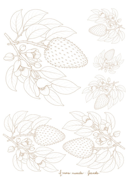 Frutas brasileiras sépia claro para porcelana - 16 folhas