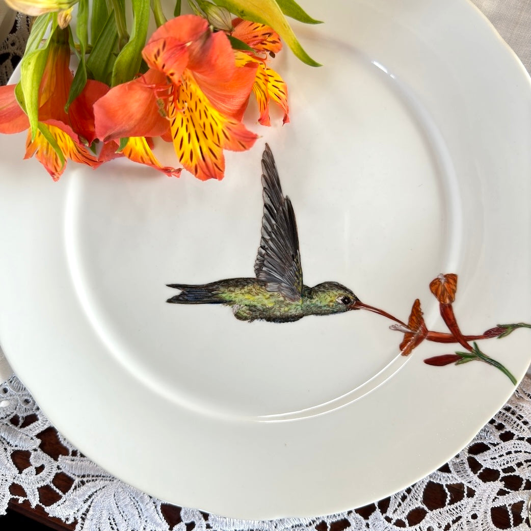Beija-flores para porcelana - 6 folhas