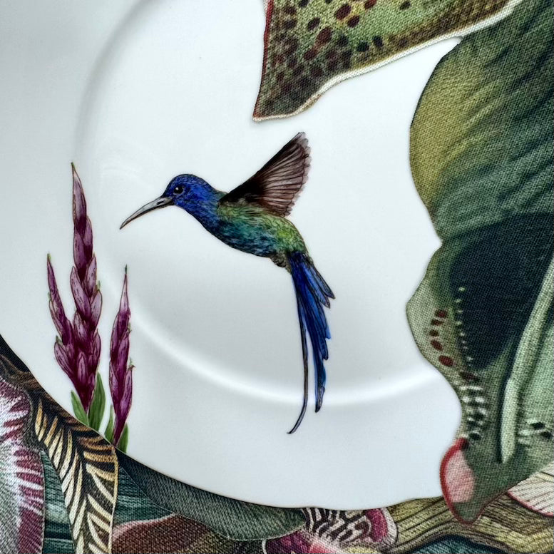 Beija-flores para porcelana - 6 folhas