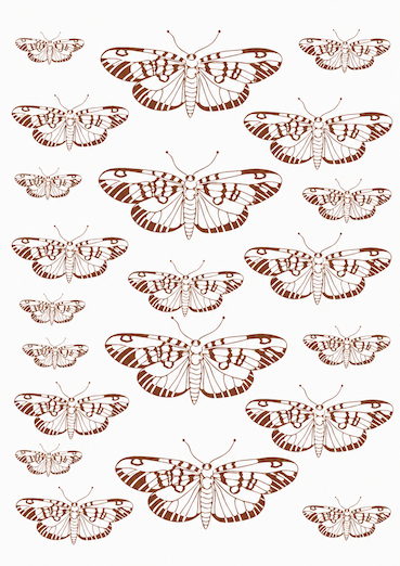 Borboletas sépia para porcelana - 12 folhas