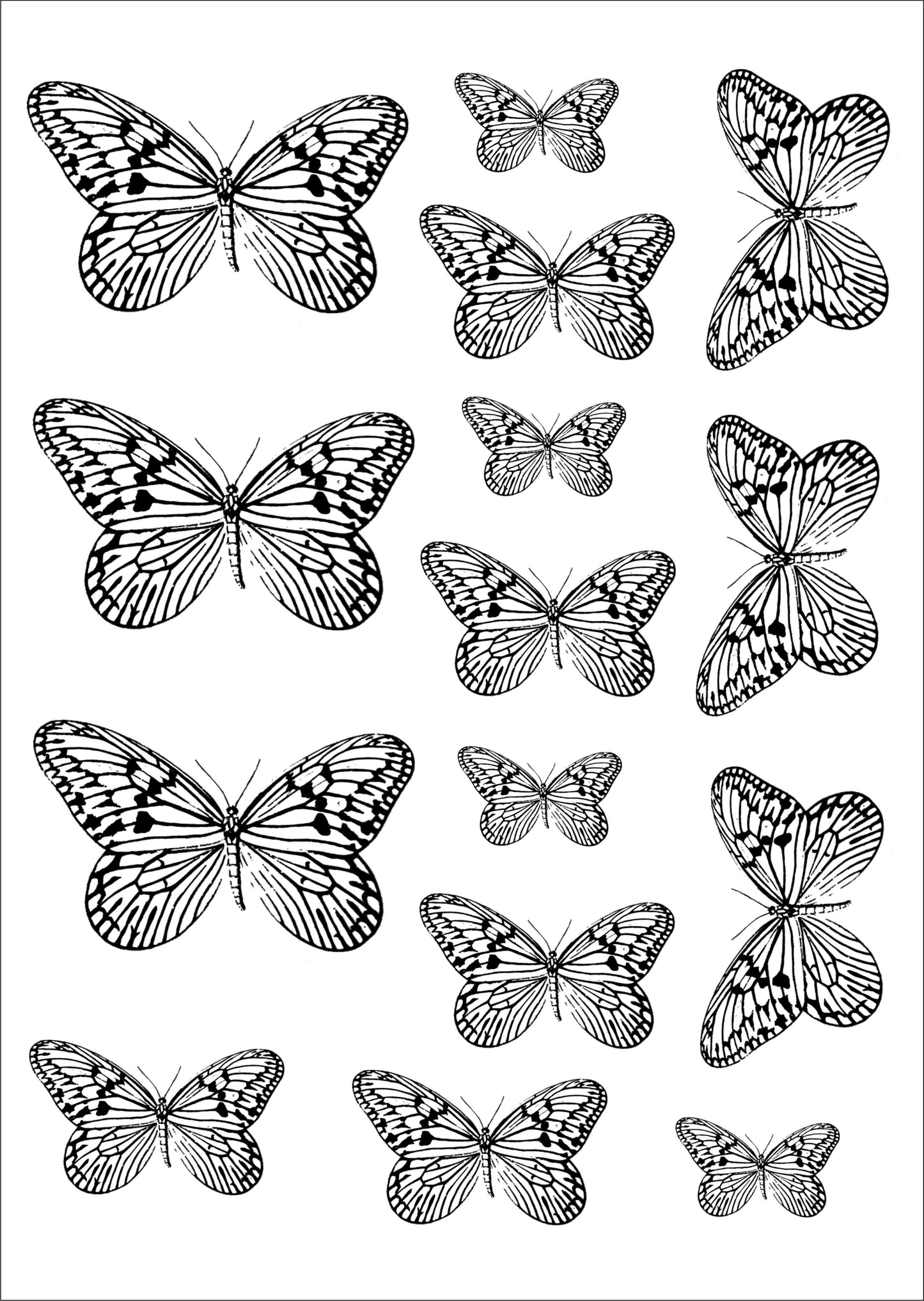 Borboletas pretas para porcelana - 12 folhas