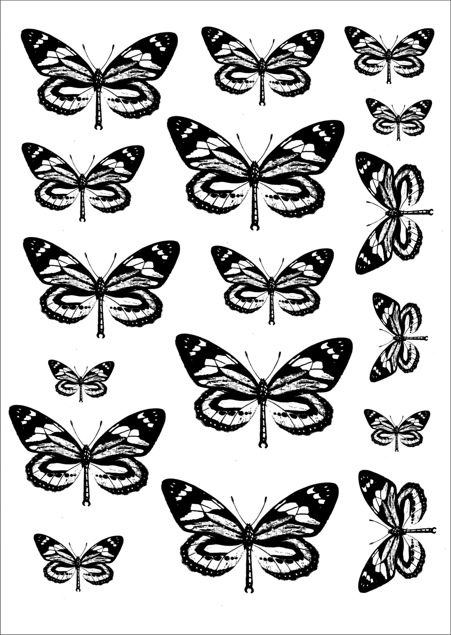 Borboletas pretas para porcelana - 12 folhas