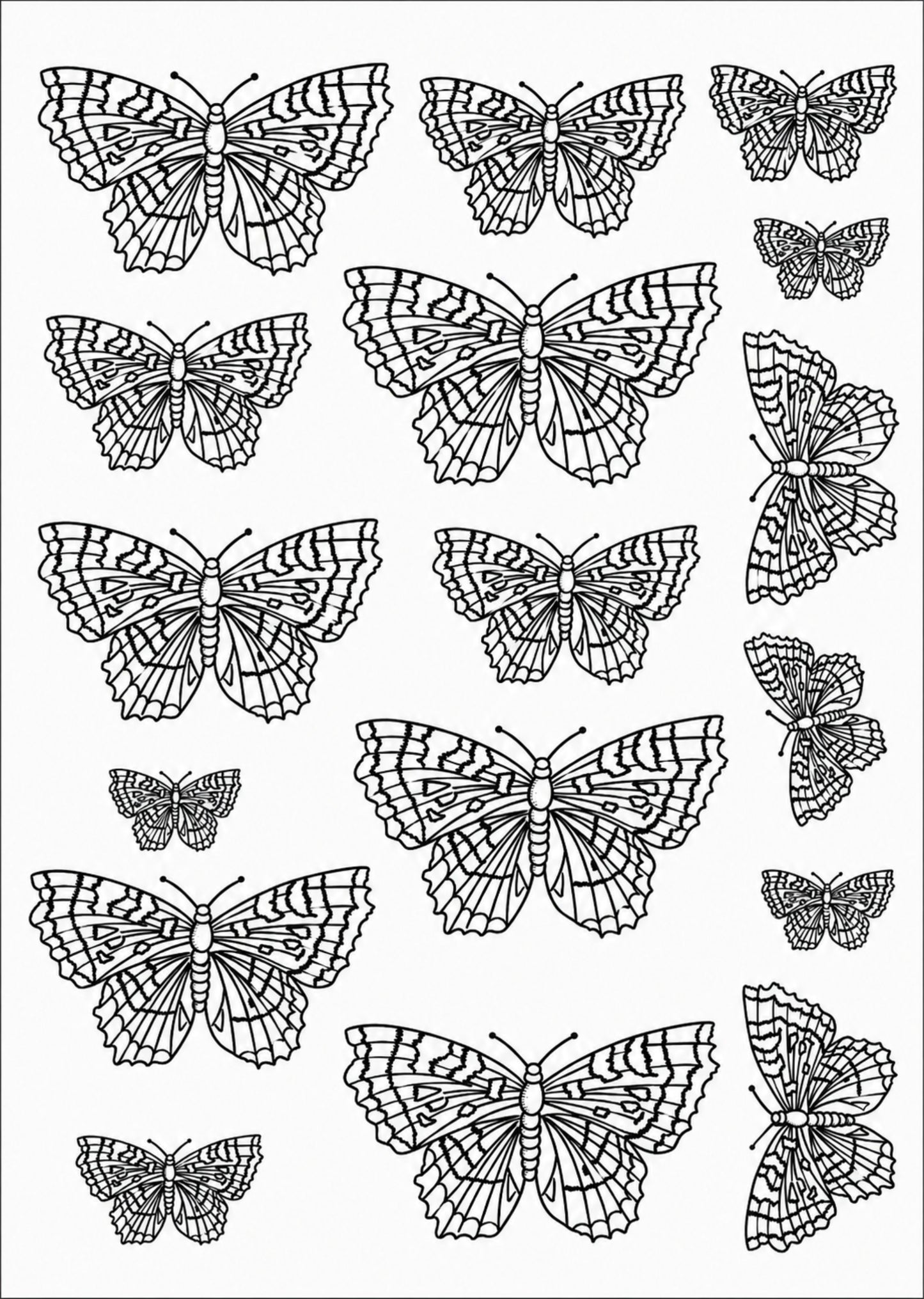 Borboletas pretas para porcelana - 12 folhas