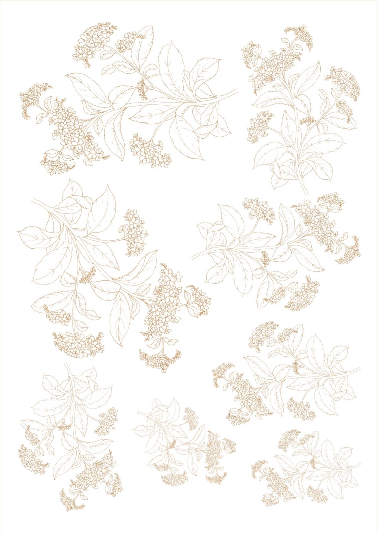 Flores de corte para porcelana - 14 folhas