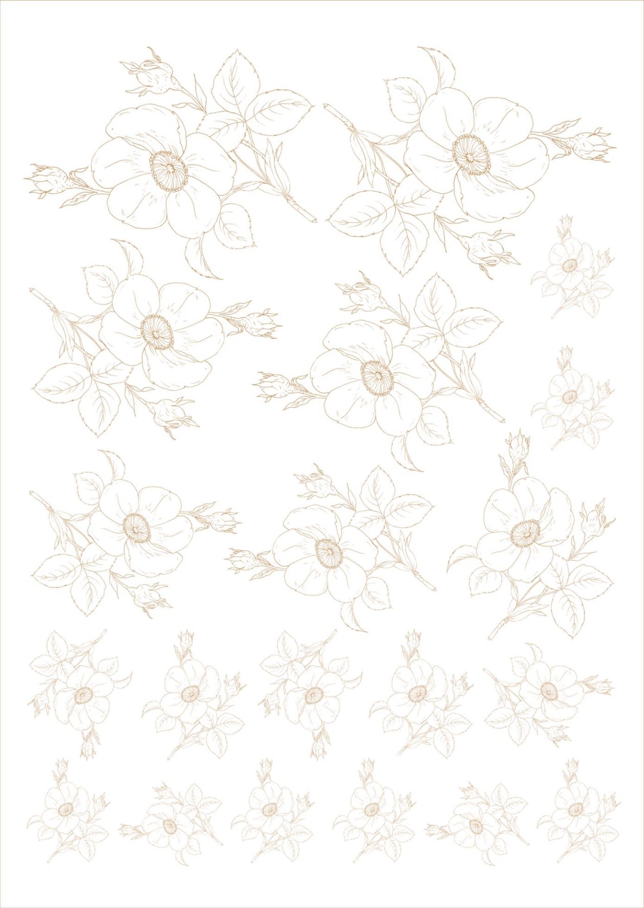 Flores de corte para porcelana - 14 folhas
