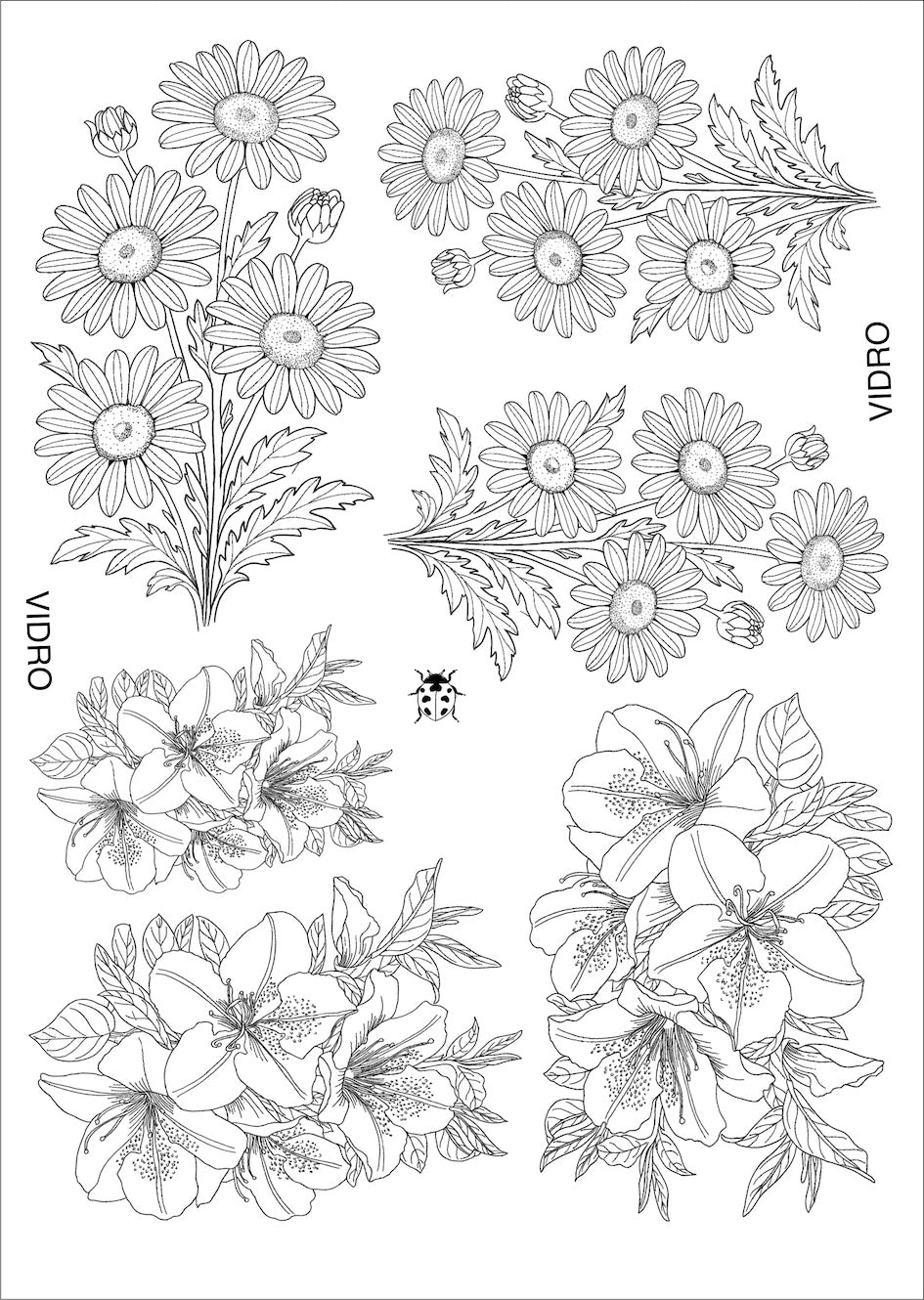 Flores e insetos para vidro - 8 folhas