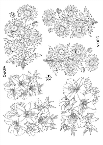 Flores e insetos para vidro - 8 folhas