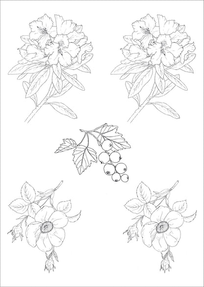Flores antigas e frutinhas para vidro - 7 Folhas