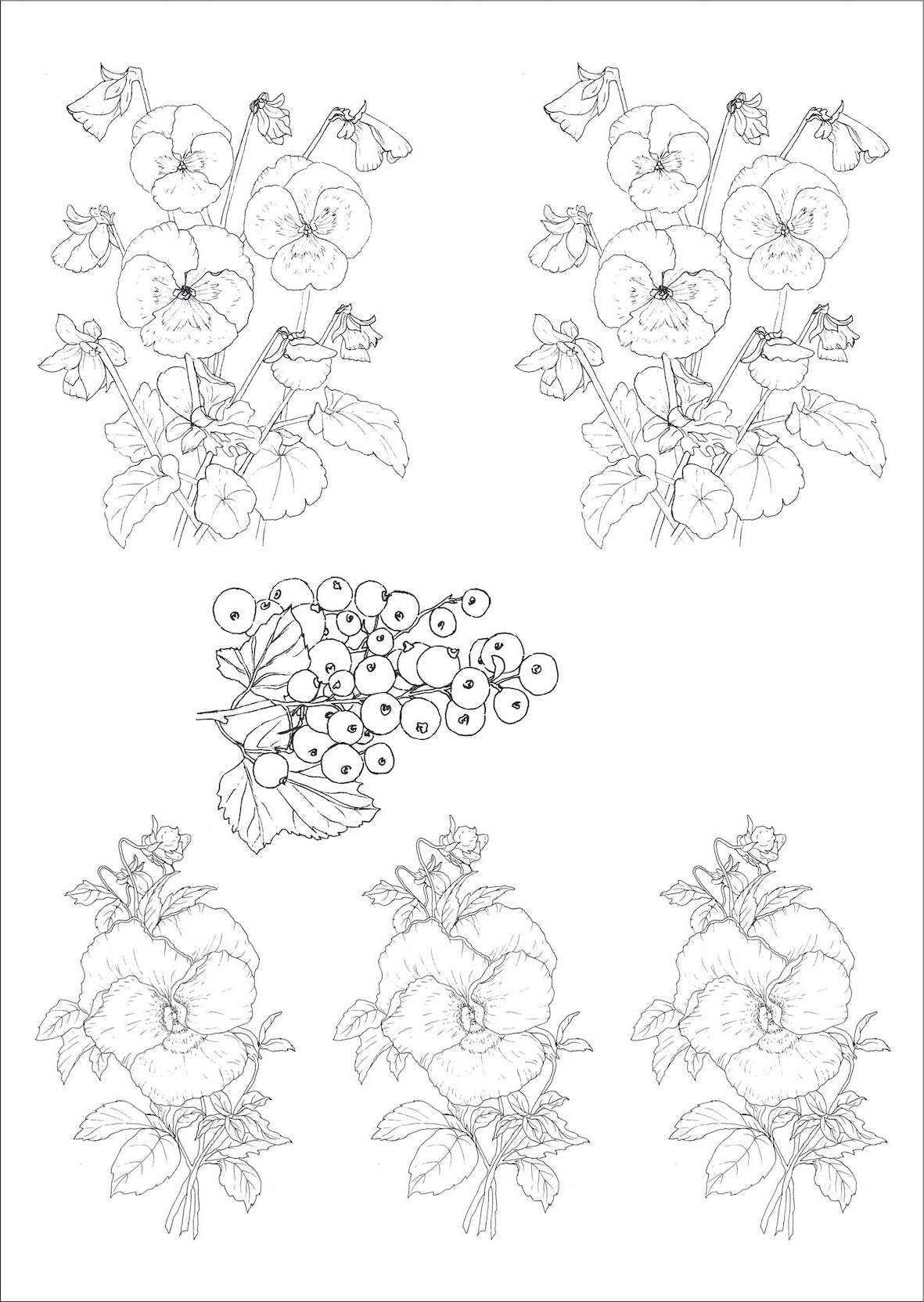 Flores antigas e frutinhas para vidro - 7 Folhas