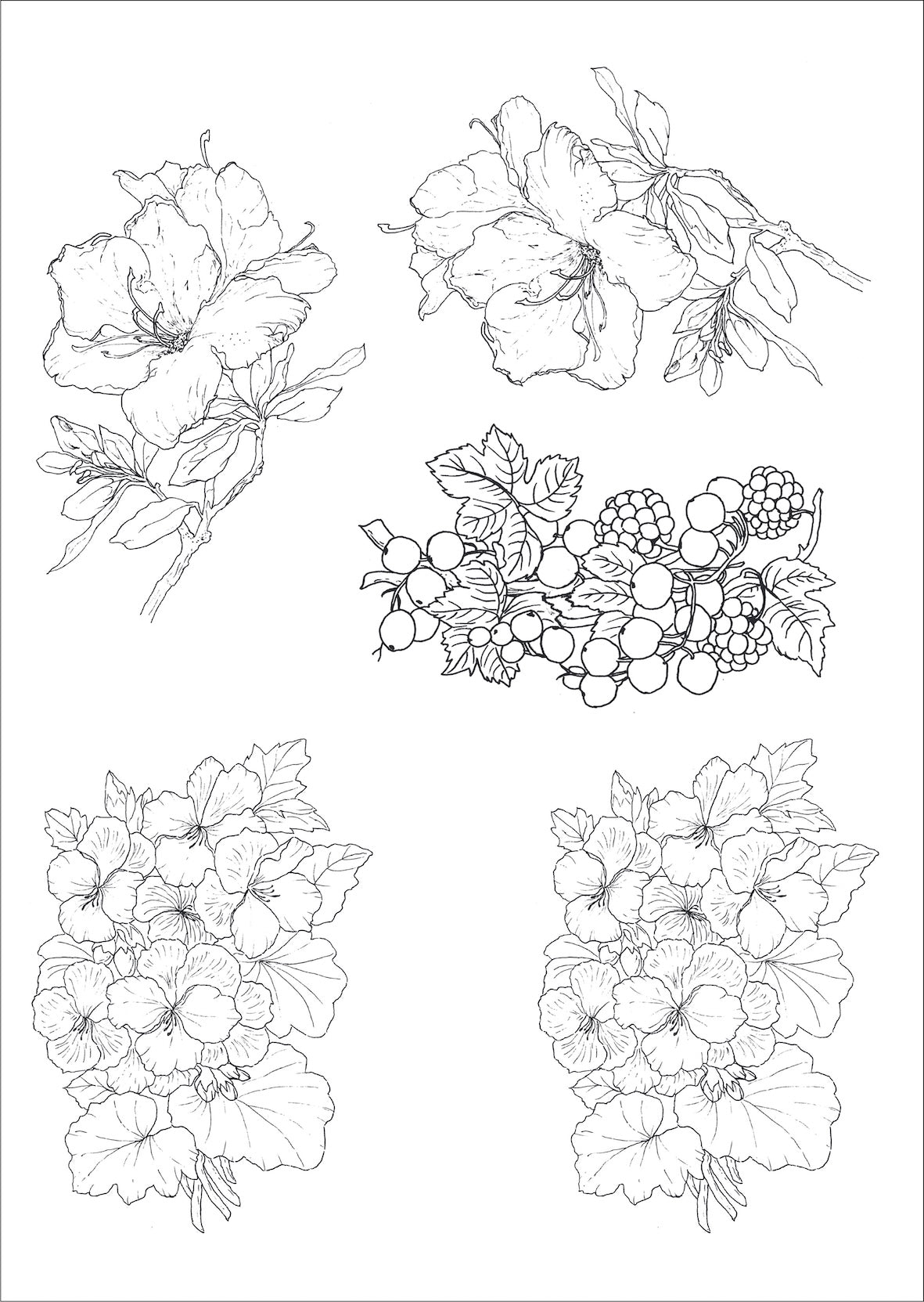 Flores antigas e frutinhas para vidro - 7 Folhas