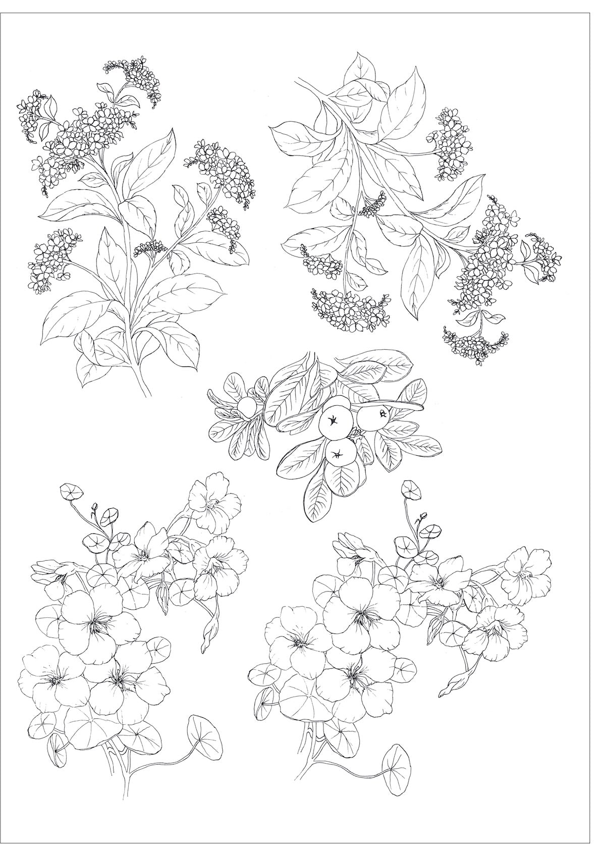 Flores antigas e frutinhas para vidro - 7 Folhas