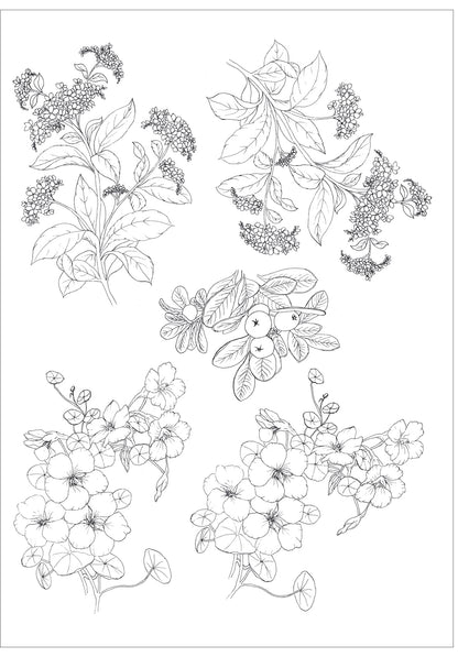 Flores antigas e frutinhas para vidro - 7 Folhas