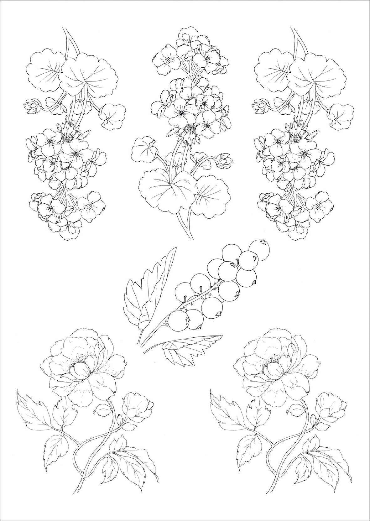 Flores antigas e frutinhas para vidro - 7 Folhas