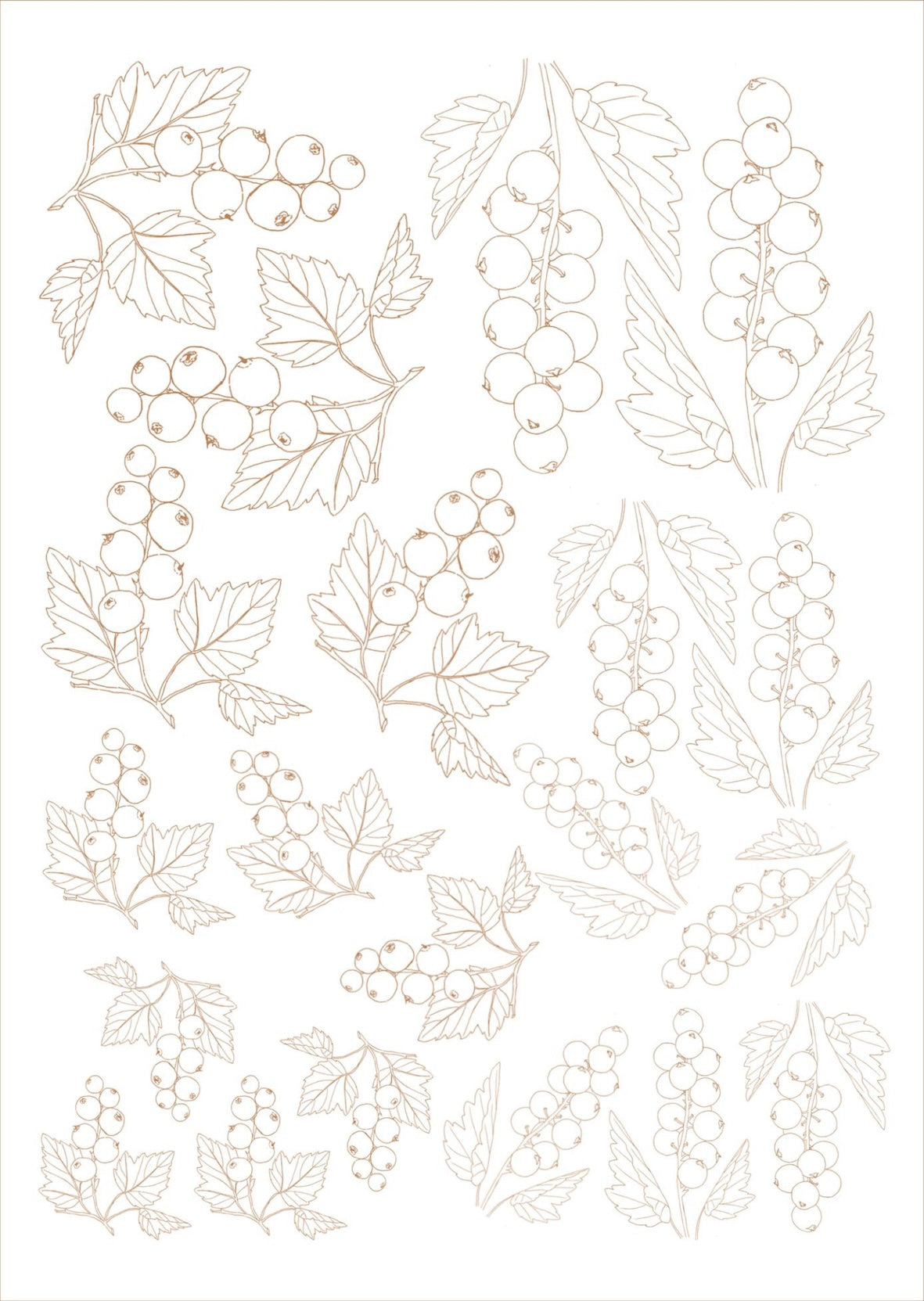 Folhas e frutas para porcelana - 12 folhas