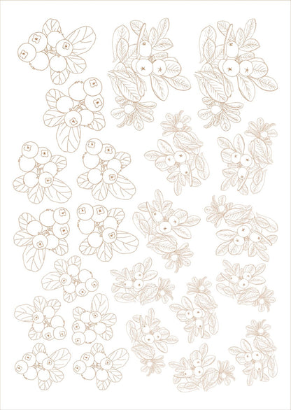 Folhas e frutas para porcelana - 12 folhas