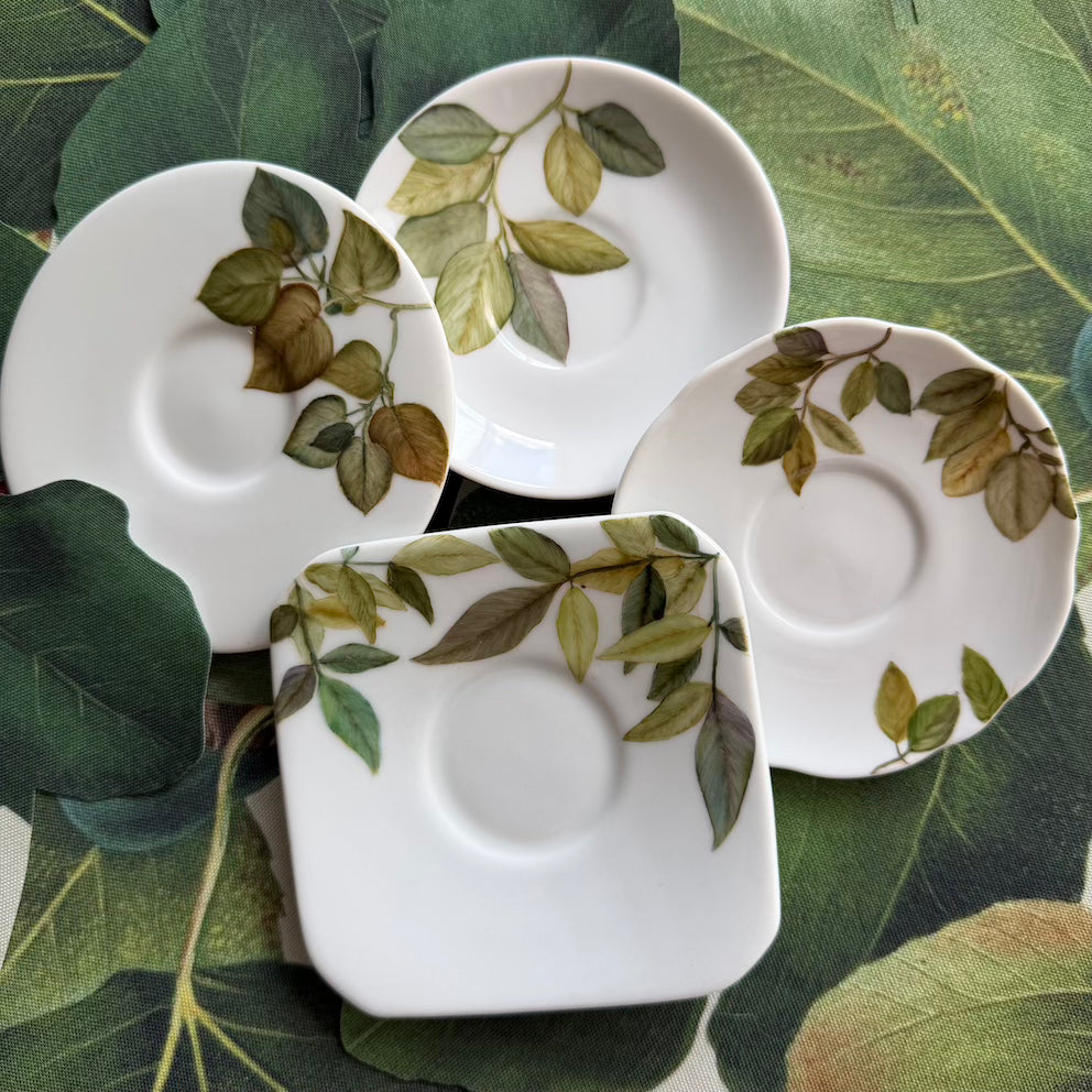 Folhas e frutas para porcelana - 12 folhas