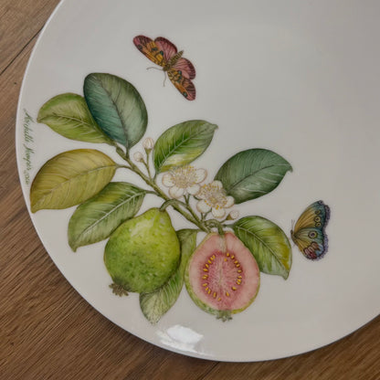 Frutas brasileiras sépia claro para porcelana - 16 folhas