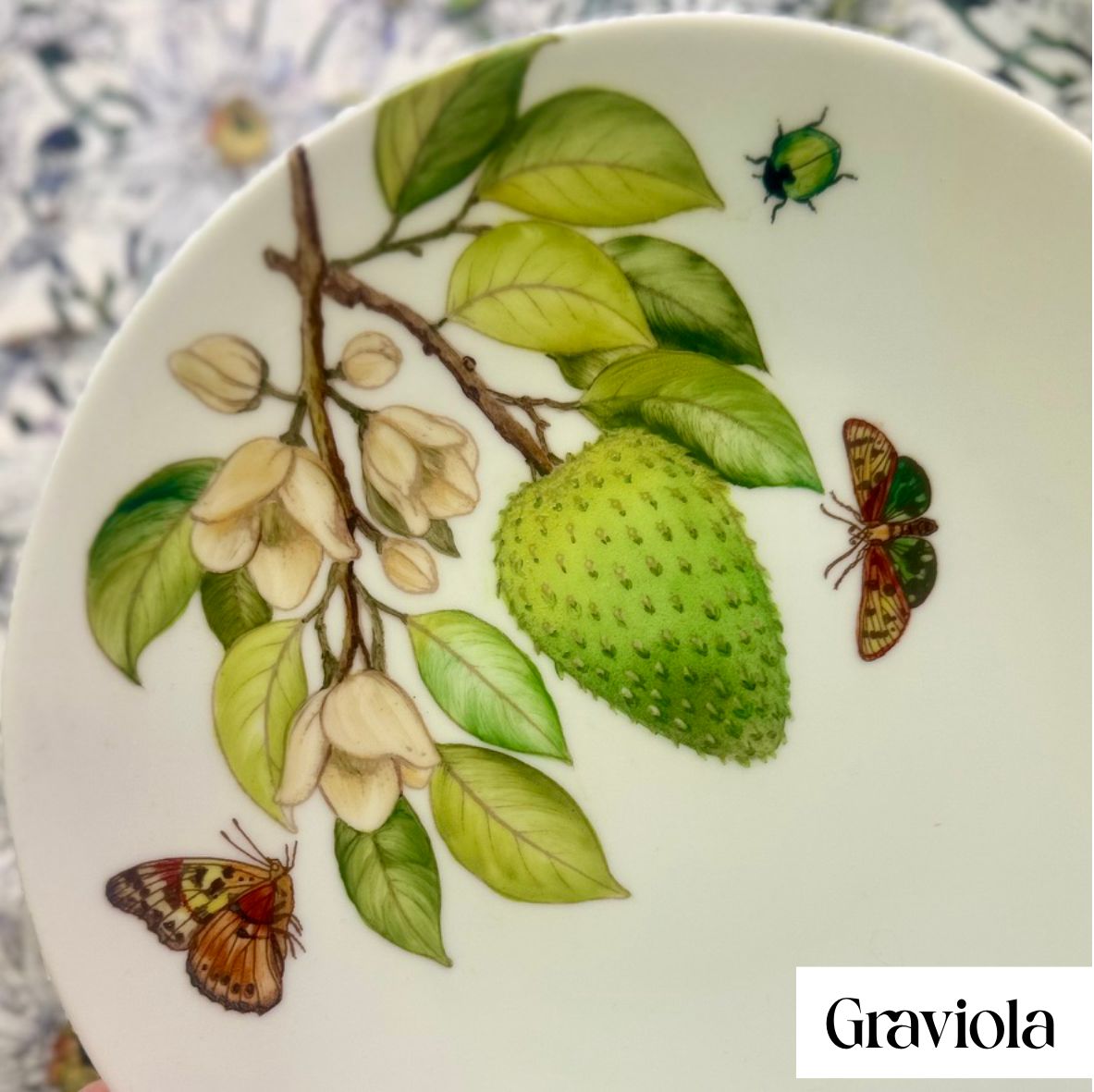 Frutas brasileiras sépia claro para porcelana - 16 folhas