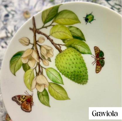 Frutas brasileiras sépia claro para porcelana - 16 folhas