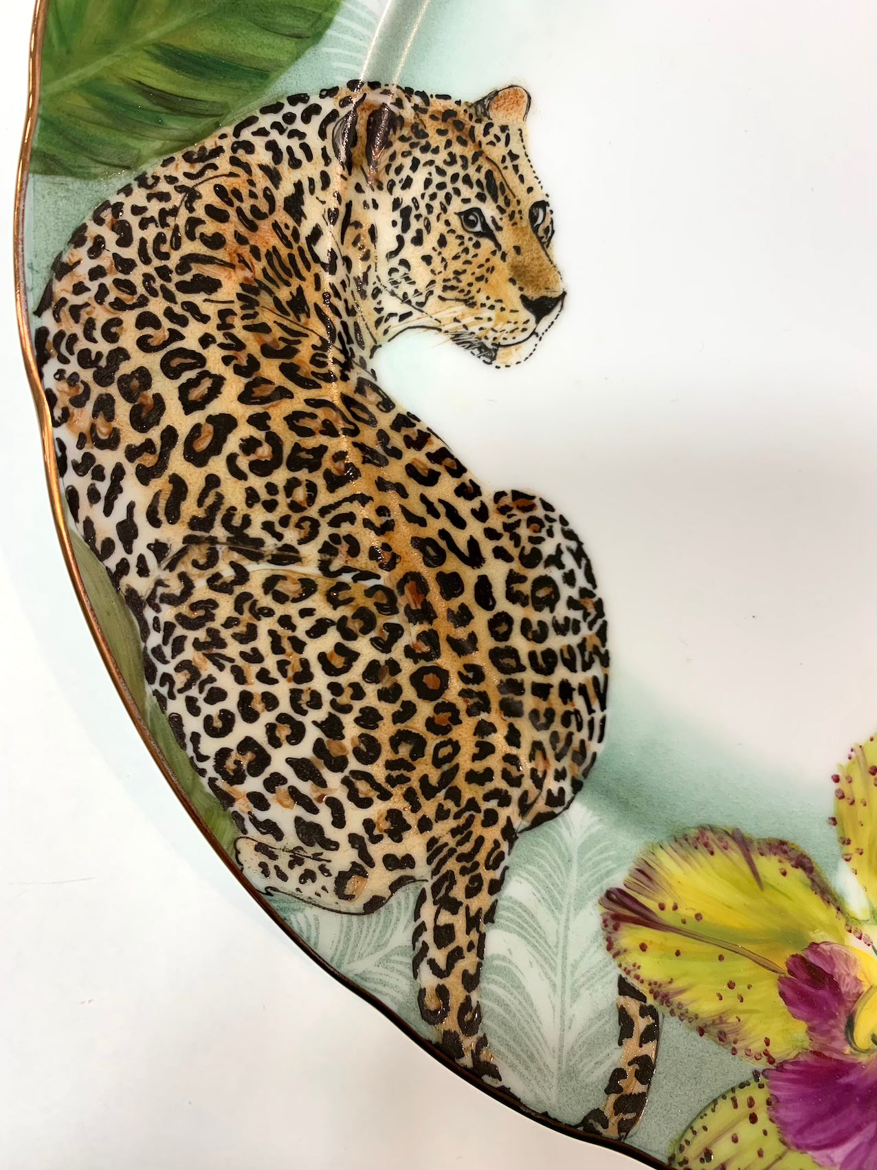 Onça preta para porcelana - 24 unidades