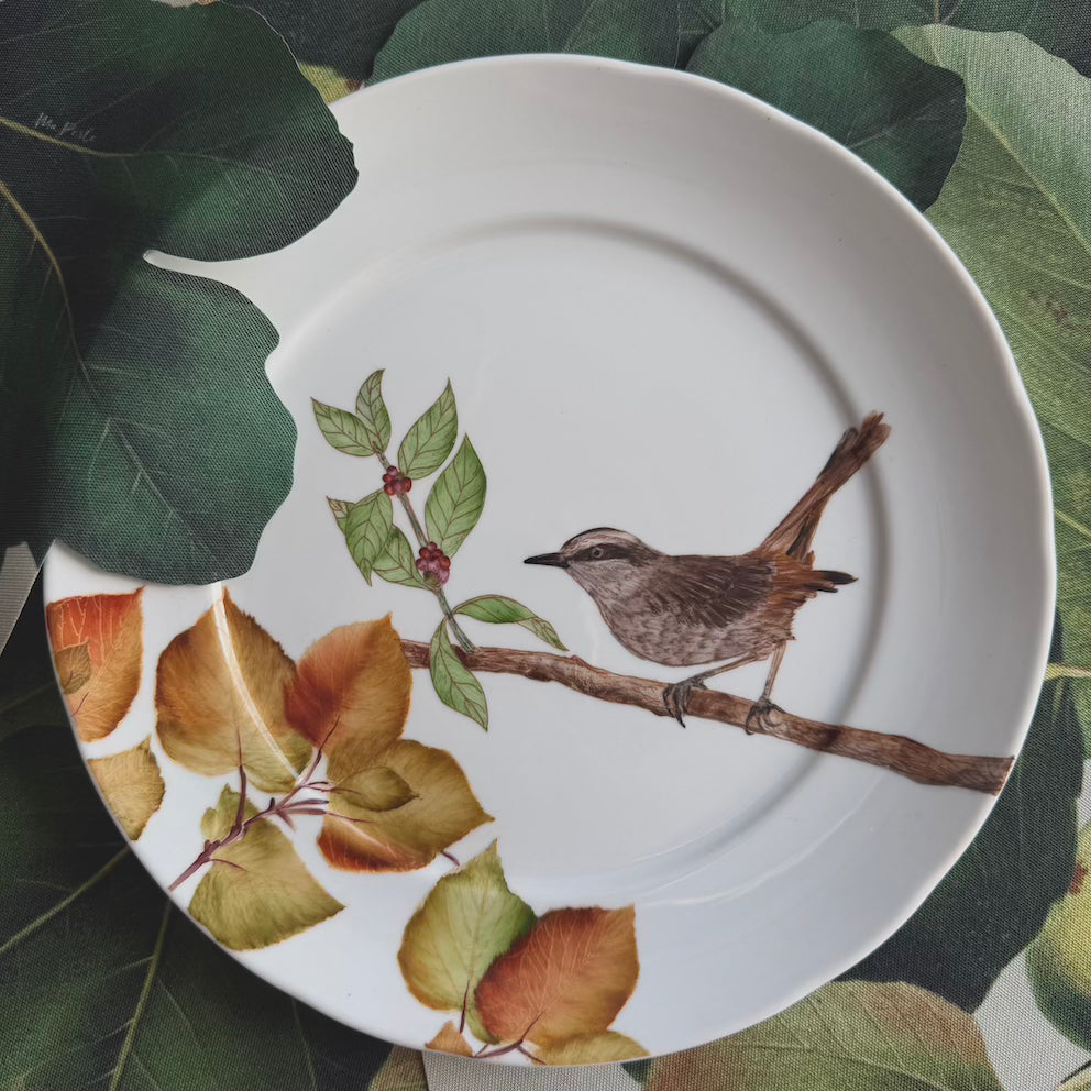 Pássaros para porcelana - 18 folhas