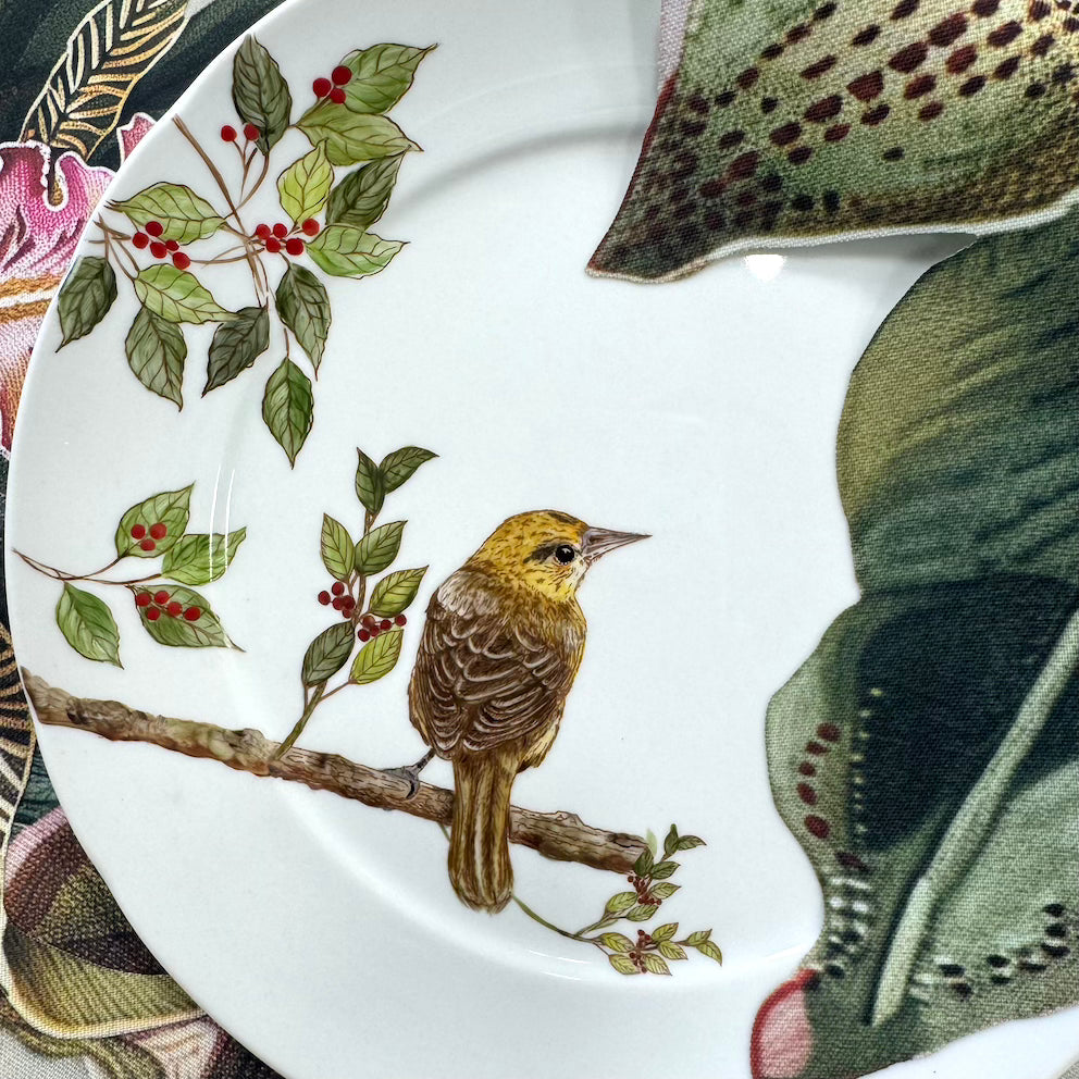 Pássaros para porcelana - 18 folhas