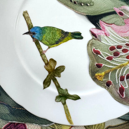 Pássaros para porcelana - 18 folhas