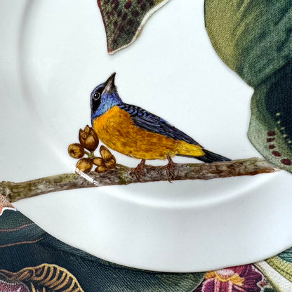 Pássaros para porcelana - 18 folhas