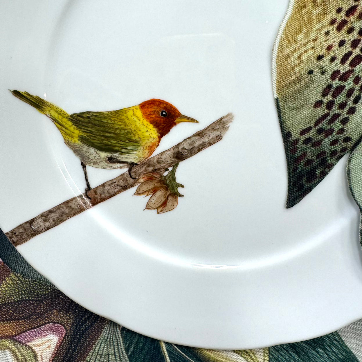 Pássaros para porcelana - 18 folhas