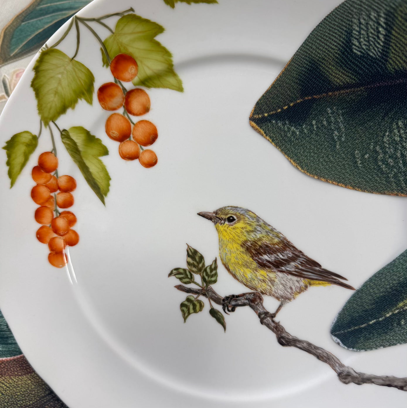 Pássaros para porcelana - 18 folhas
