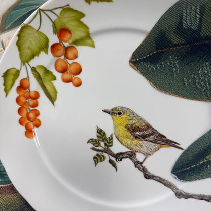 Pássaros para porcelana - 18 folhas
