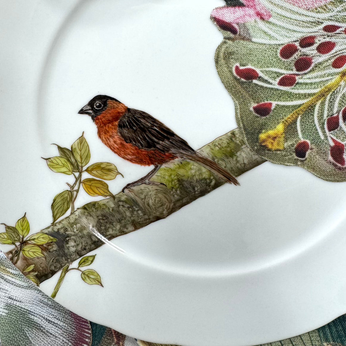 Pássaros para porcelana - 18 folhas