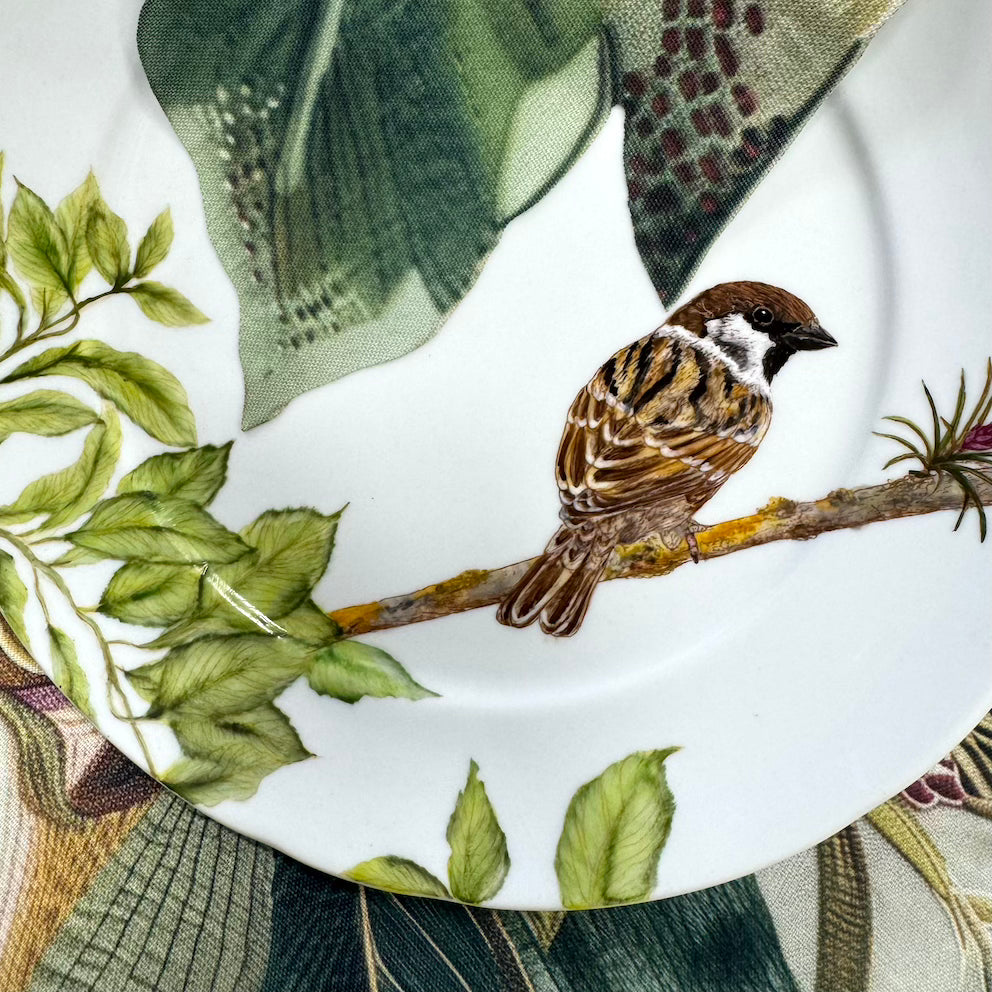 Pássaros para porcelana - 18 folhas