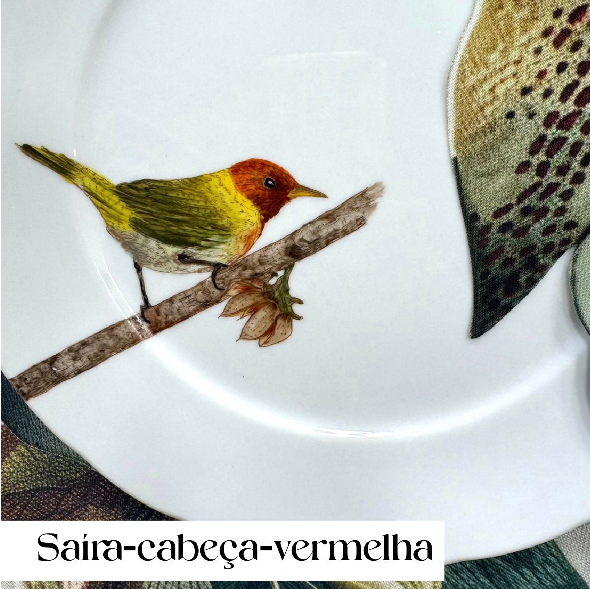 Pássaros para porcelana - 18 folhas
