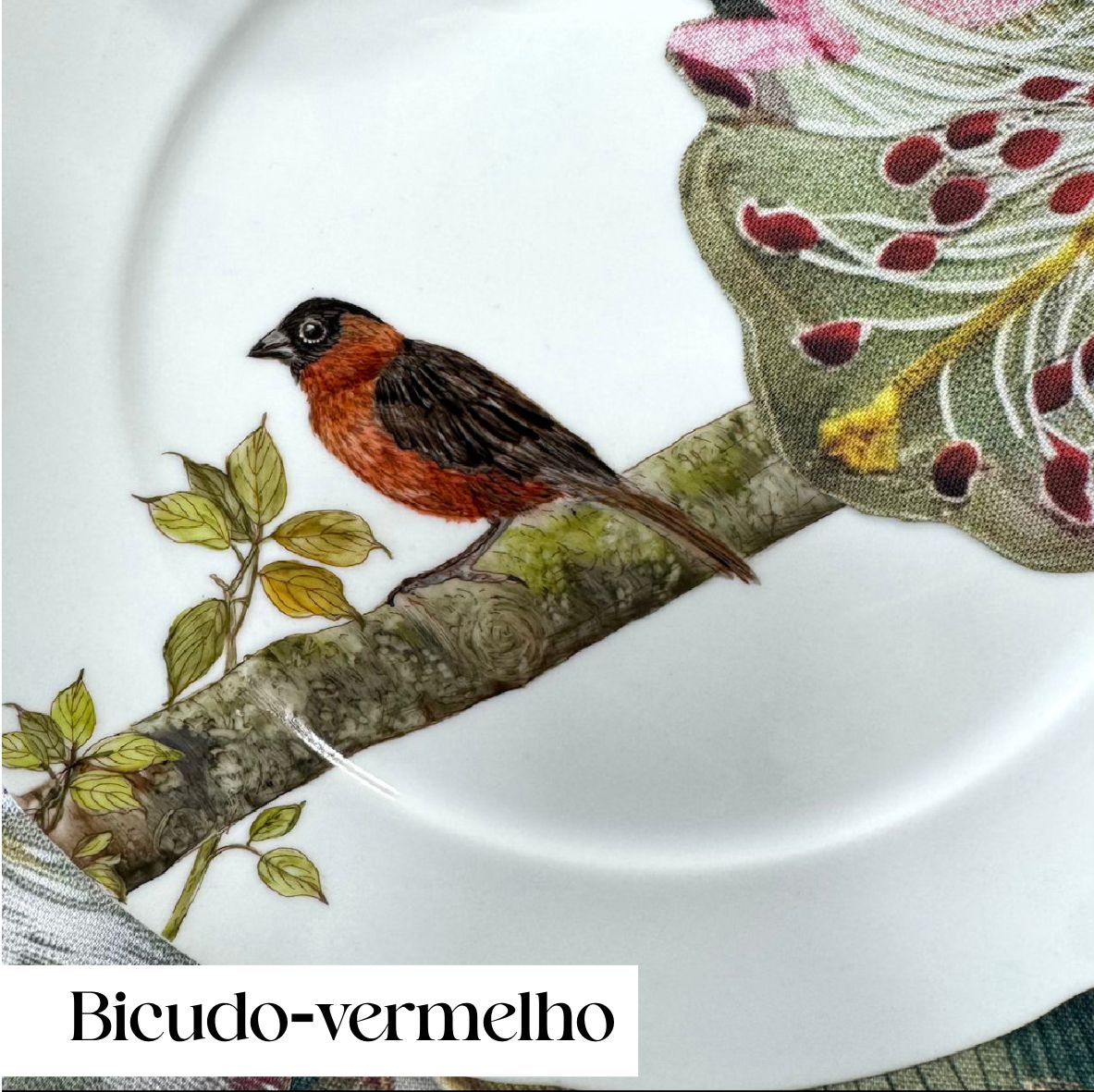 Pássaros para porcelana - 18 folhas