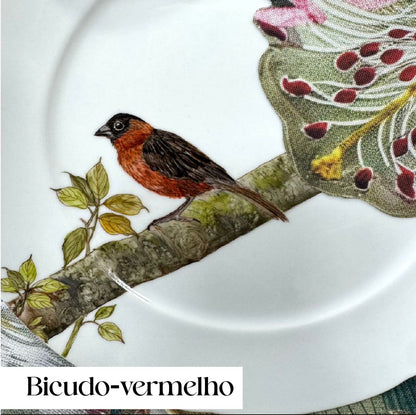 Pássaros para porcelana - 18 folhas