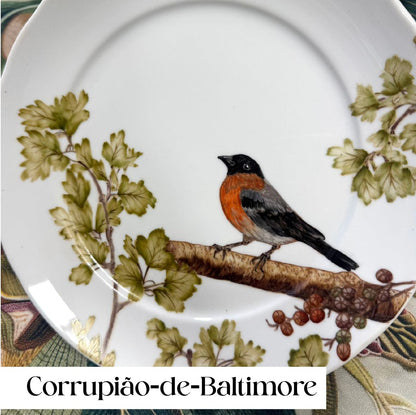 Pássaros para porcelana - 18 folhas