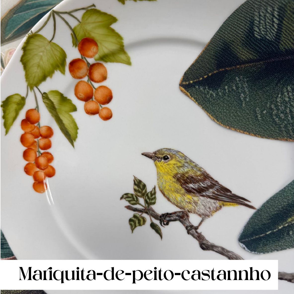 Pássaros para porcelana - 18 folhas