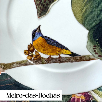Pássaros para porcelana - 18 folhas