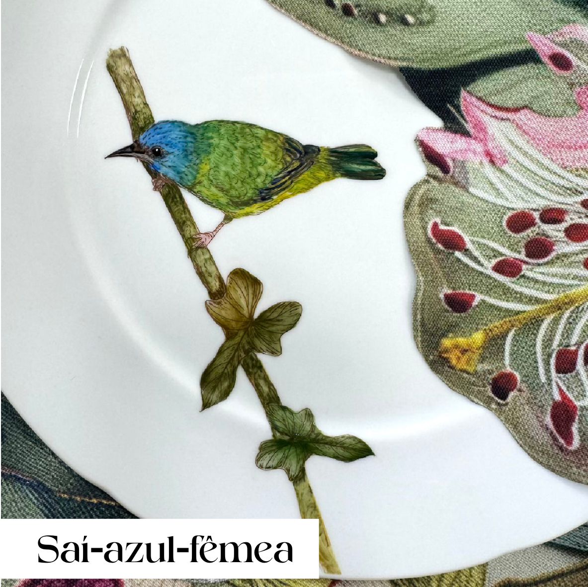 Pássaros para porcelana - 18 folhas