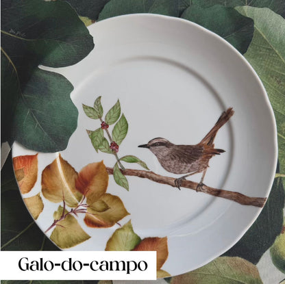 Pássaros para porcelana - 18 folhas